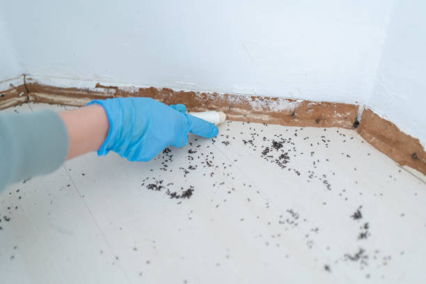 Professional Pest Control in Stanfield, OR